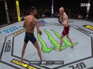 UFC格斗之夜第153期