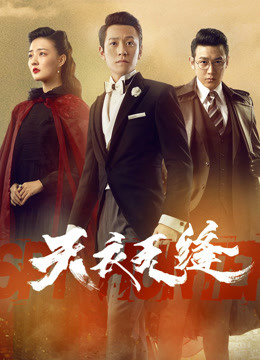 天衣无缝(TV)